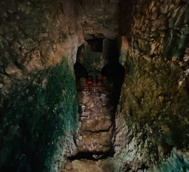 247115182_1466659753727192_4547944499595544073_n