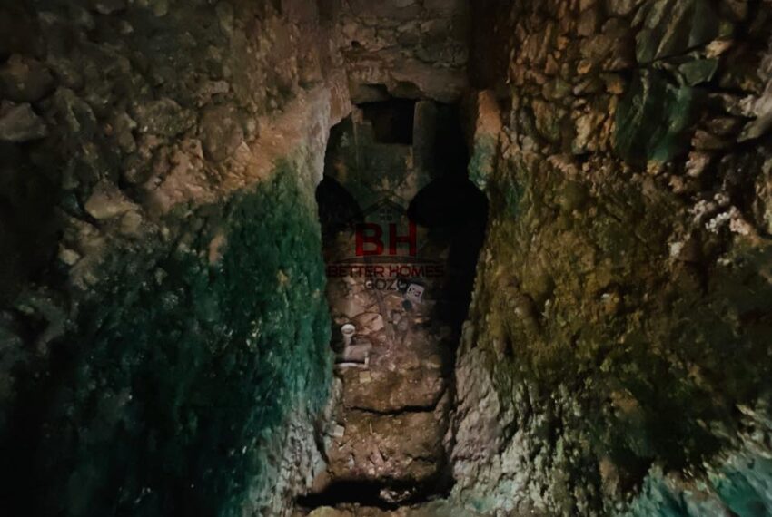 247115182_1466659753727192_4547944499595544073_n