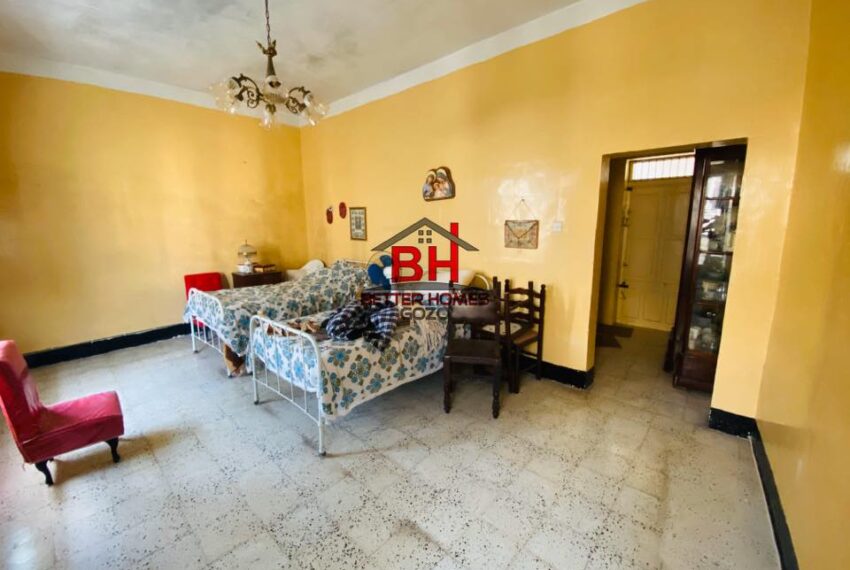 247458261_1466659783727189_773501711300562354_n