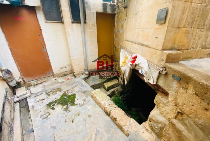 247462266_1466660557060445_8894932202345616224_n