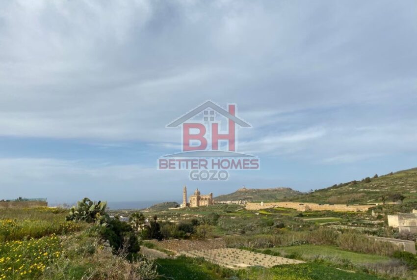 89599394_2447333835532114_4047822645721300992_n