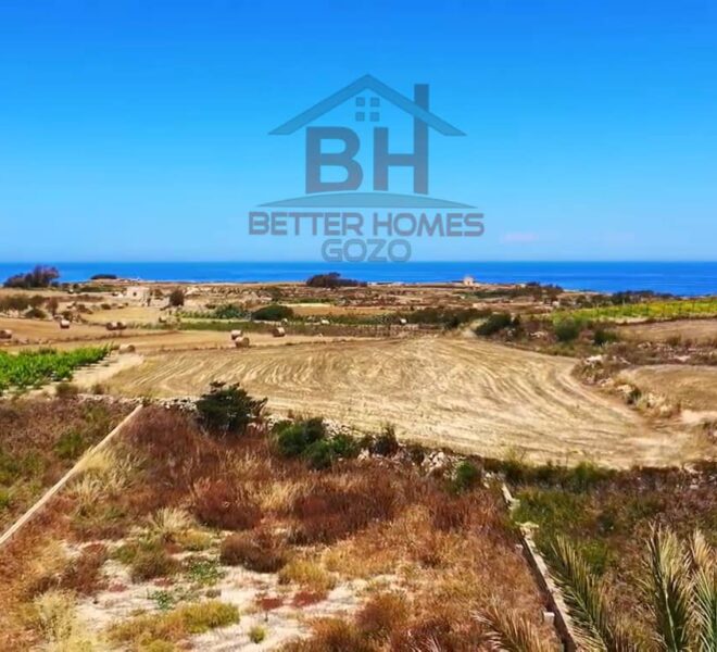 308671068_1725136581212840_1975633267522335913_n