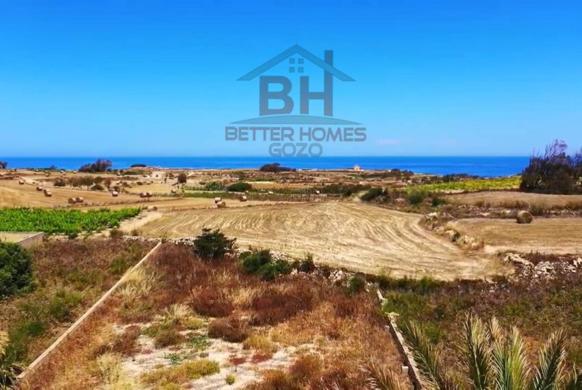 308671068_1725136581212840_1975633267522335913_n