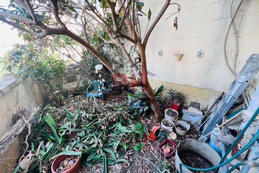 314362006_1141212583426577_5666376674199302007_n