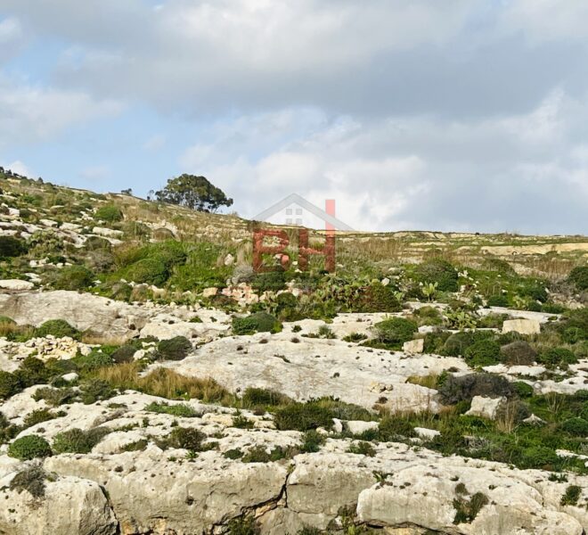 71A8C8CE-57A2-477F-A8A8-FEF1BDBA65B5