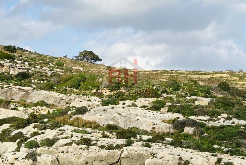 71A8C8CE-57A2-477F-A8A8-FEF1BDBA65B5