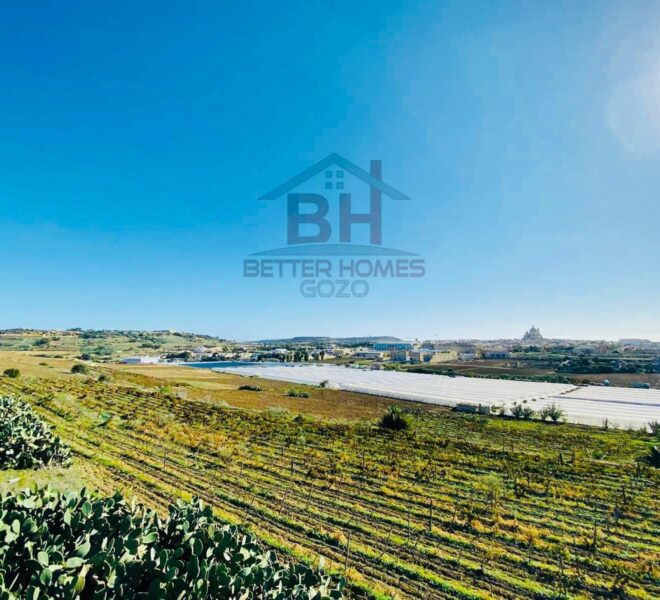 417549490_863648799109698_2770786139197751524_n