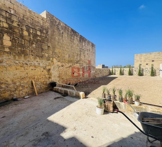 455012455_973238168150760_529216472122529203_n