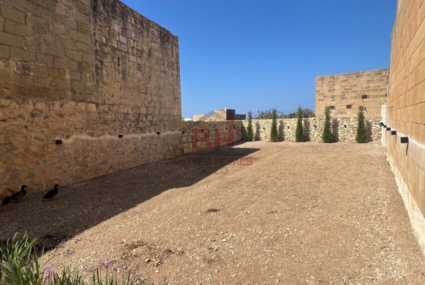 455280441_973239094817334_2509518066493299559_n