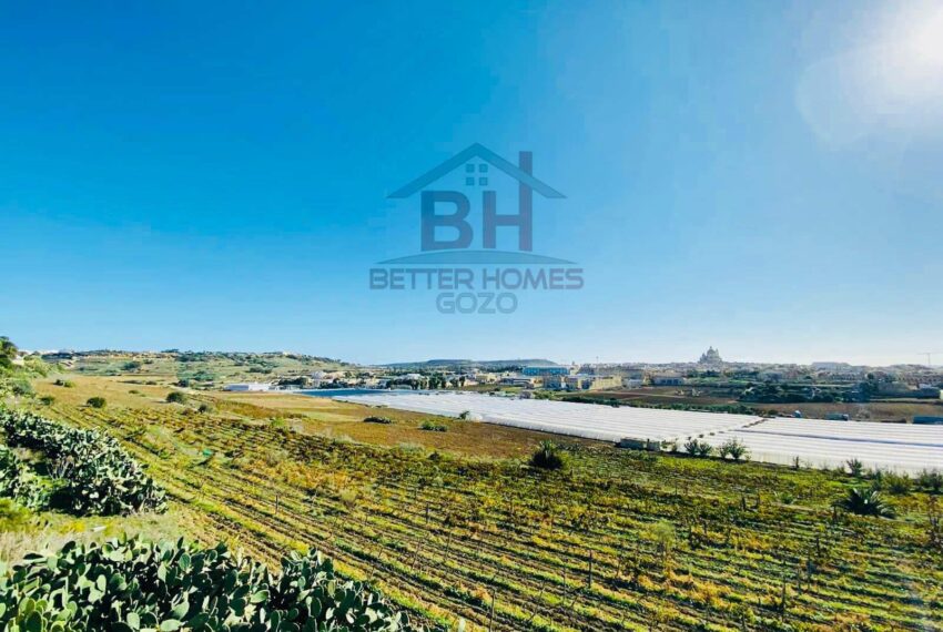 417549490_863648799109698_2770786139197751524_n