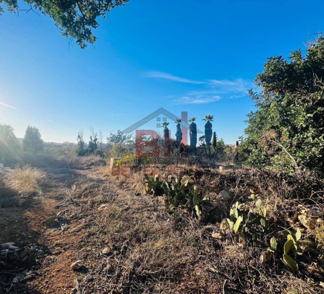 442417564_917254973749080_6770867682535216162_n