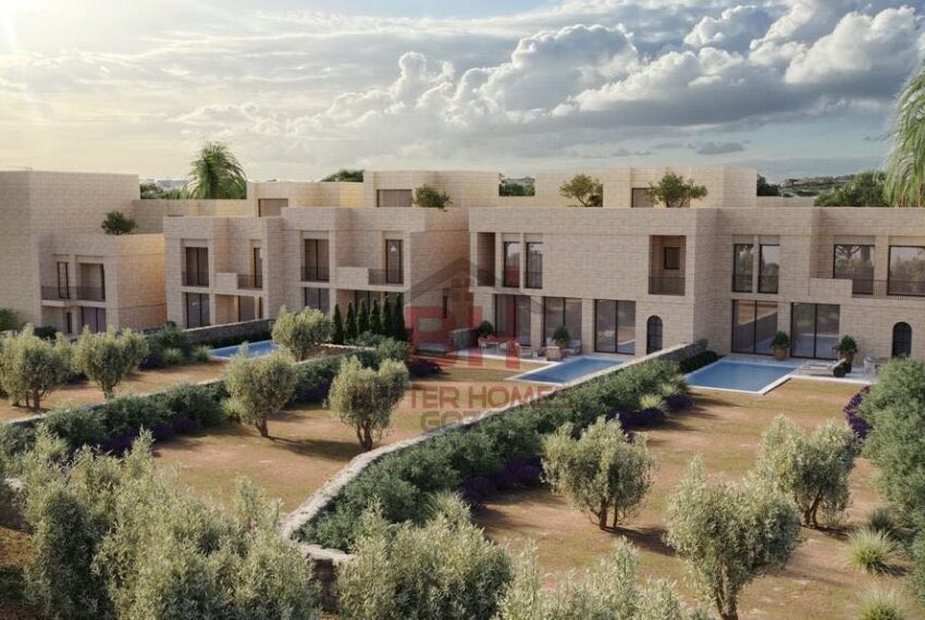 442445407_917255130415731_7636989031639817976_n