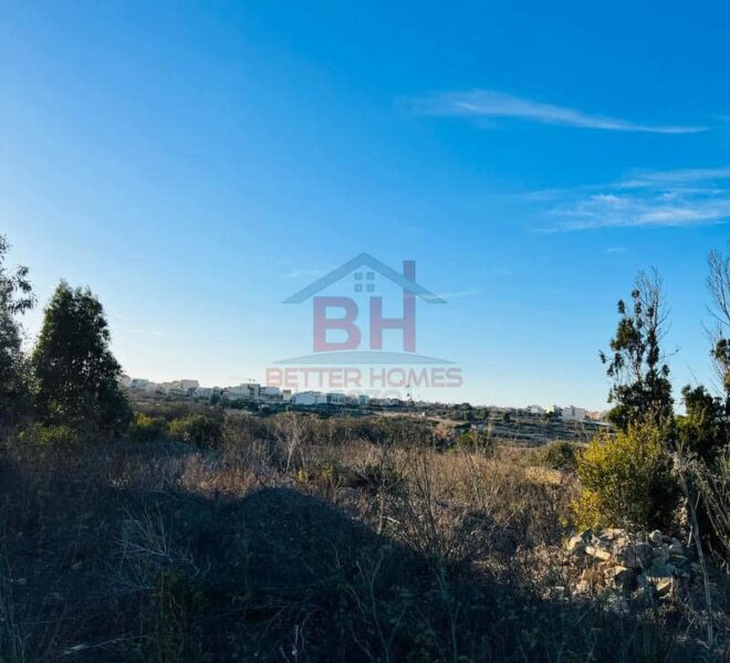 443715260_917254953749082_7524734979355556730_n