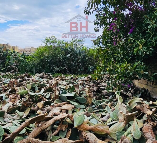 446844687_920500643424513_4436811845186557836_n