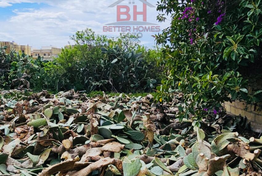 446844687_920500643424513_4436811845186557836_n