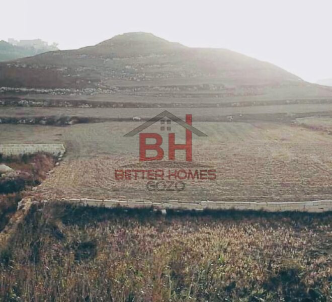 459280448_994247869383123_6558523286577577926_n