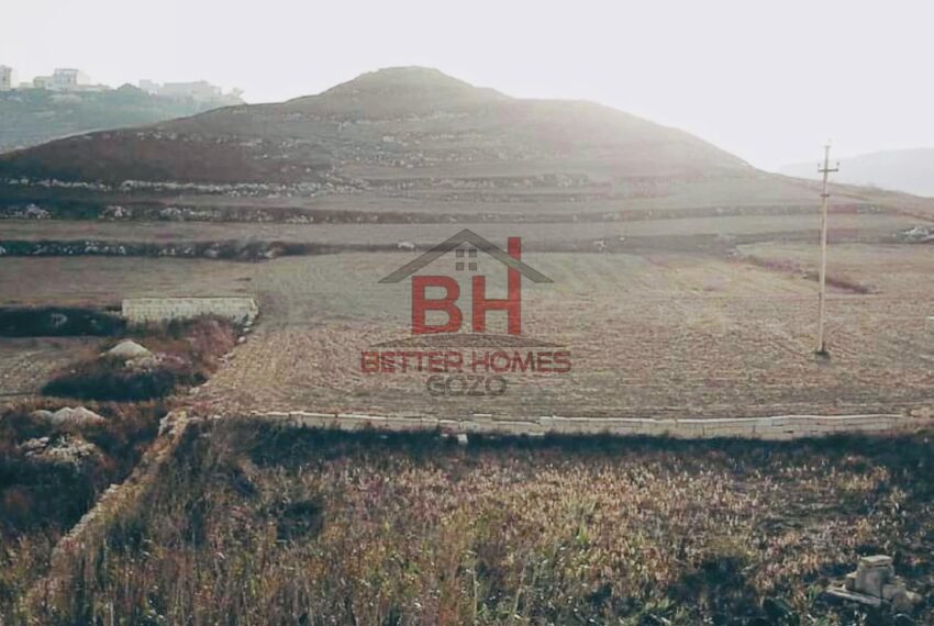 459280448_994247869383123_6558523286577577926_n