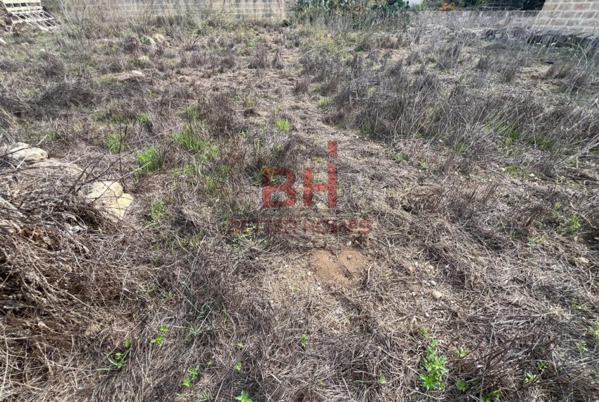 466666418_1041302324677677_3851444203180395774_n