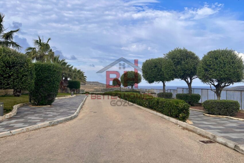 494645247_1194046809403227_7116222871040982865_n